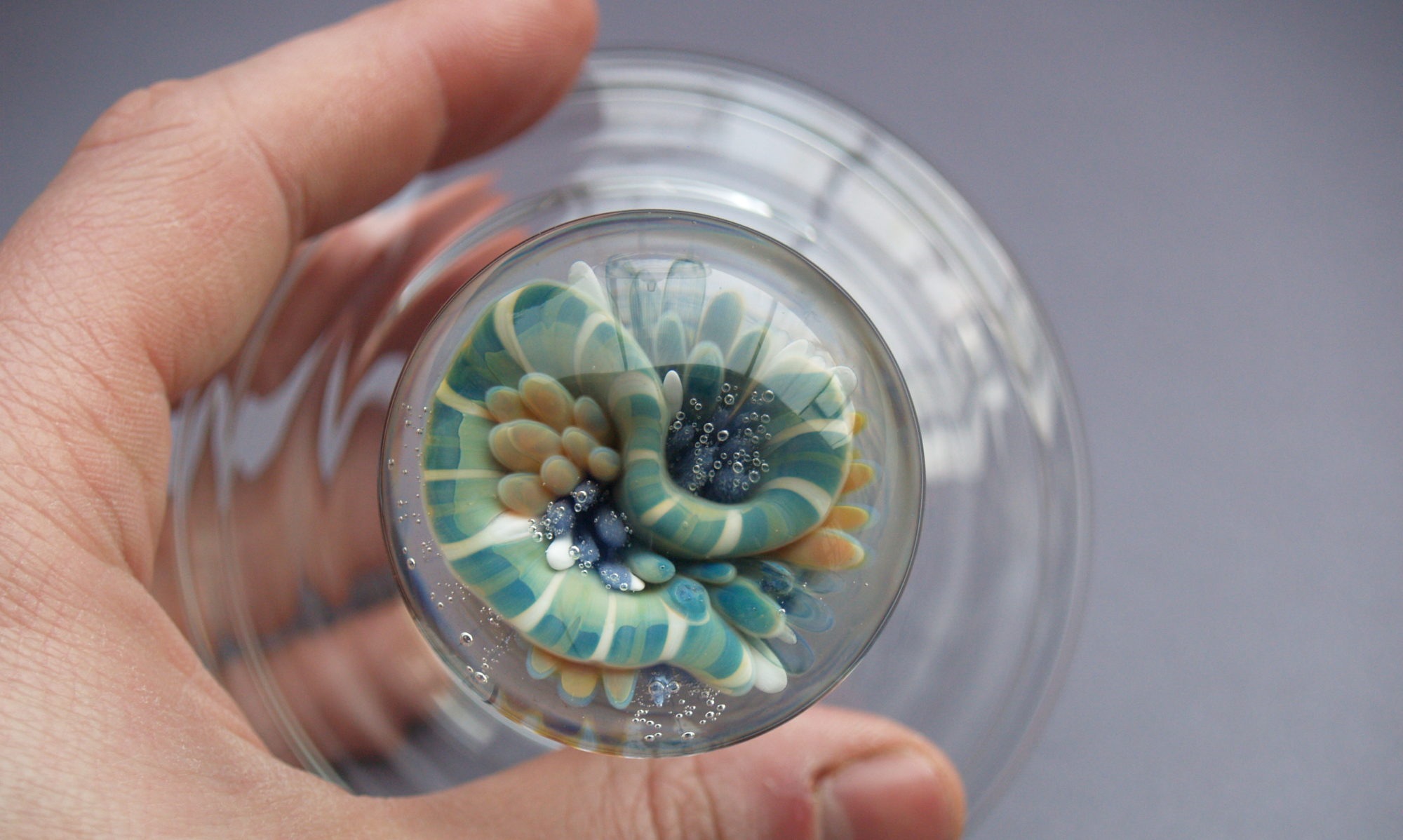 Association Révélateur