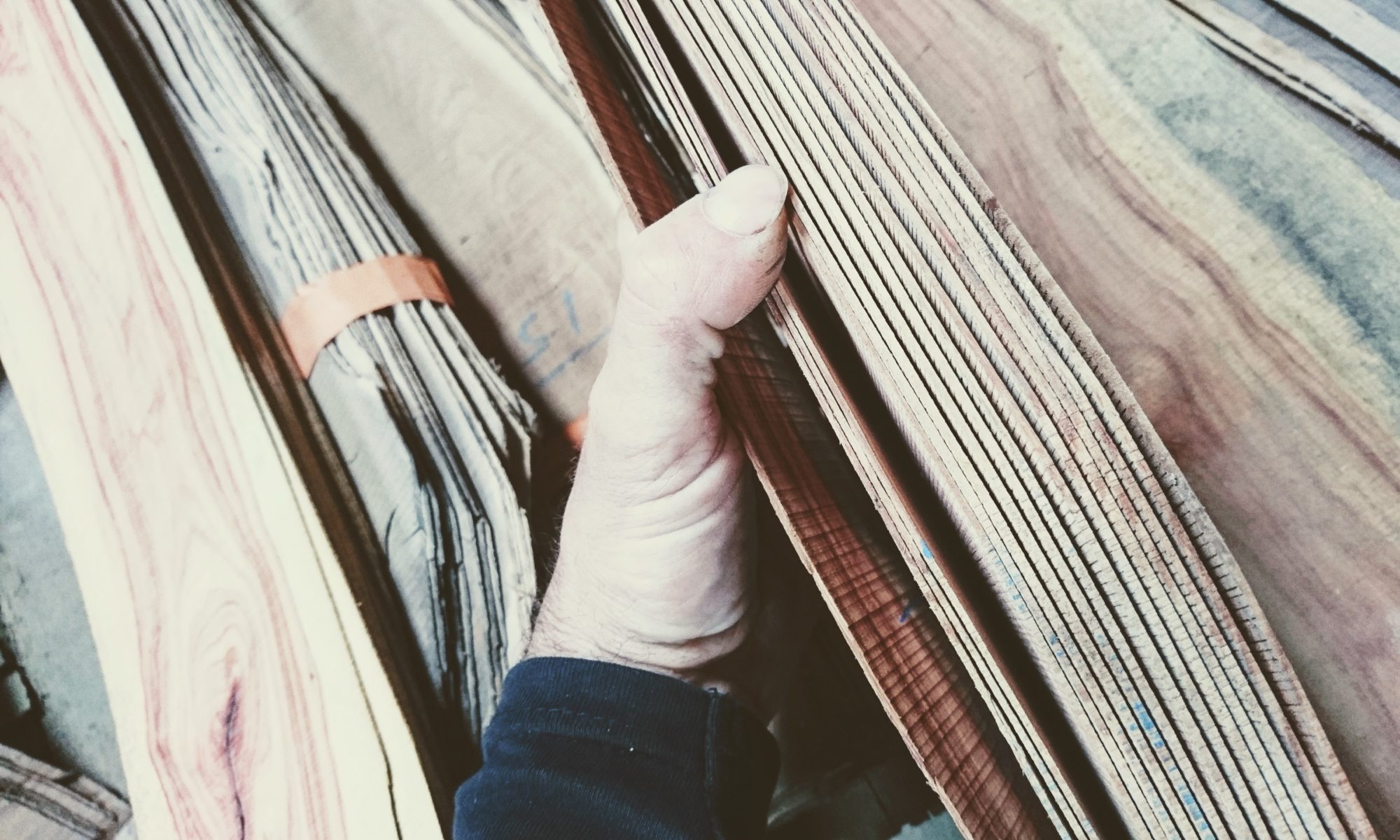 Association Révélateur